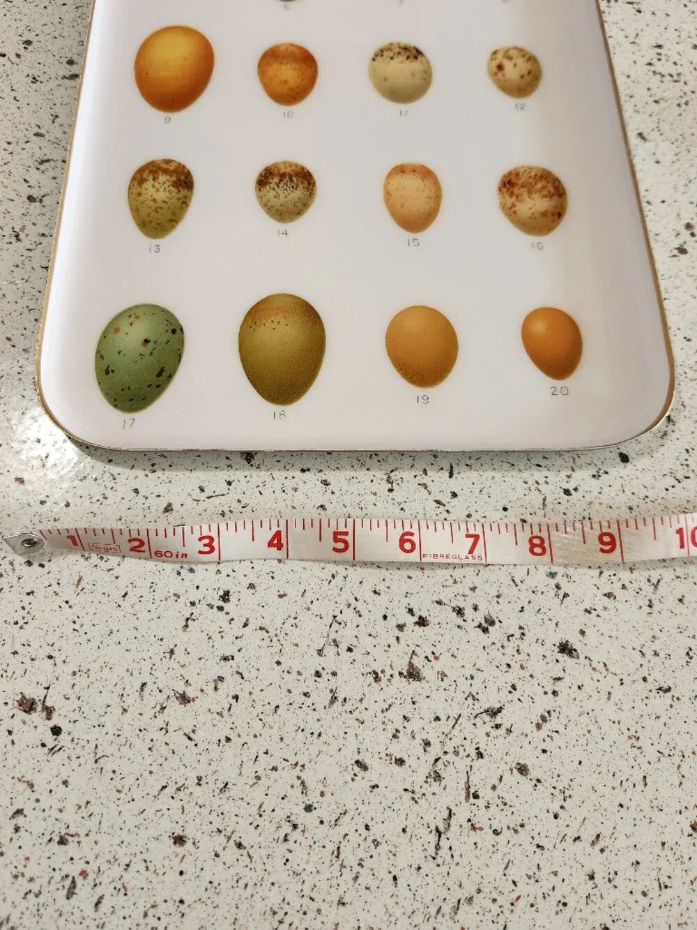 Anthropologie Terrain Egg Print Handmade Enamel Archival Tray Large 10